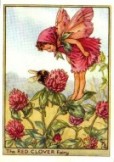 Wayside Flower Fairy Prints