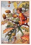 Acorn Flower Fairy