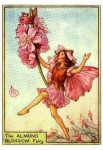 Almond Blossom Flower Fairy