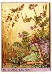 Storks-Bill Flower Fairy