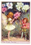 The Pink Flower Fairy