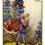 Bugle Flower Fairy