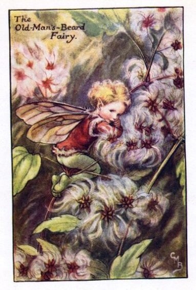 Old-Mans-Beard Flower Fairy