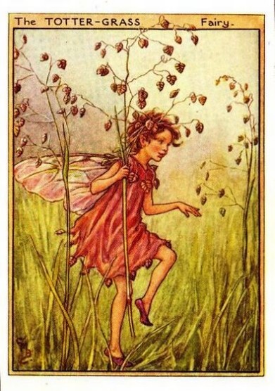 Totter-Grass Flower Fairy