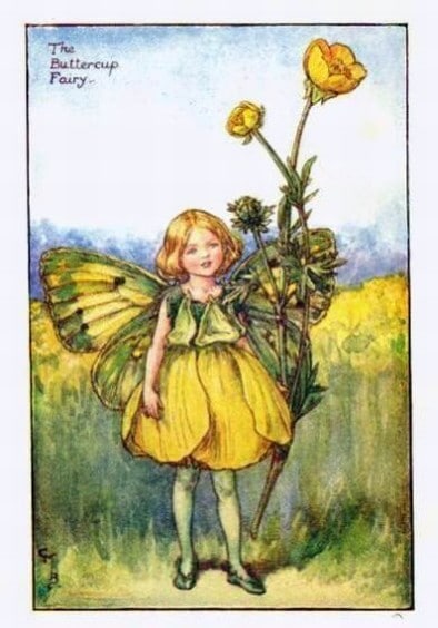 Buttercup Flower Fairy