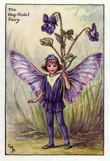 Dog-Violet Flower Fairy