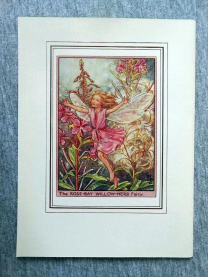 Rose-Bay Willow-Herb Flower Fairy Print