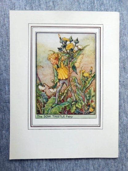 Sow Thistle Flower Fairy Print