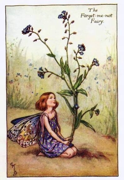 Forget-me-Not Summer Flower Fairy