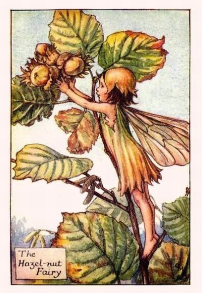 Hazelnut Flower Fairy
