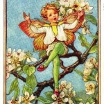 Pear Blossom Flower Fairy