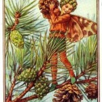 Pine Tree Flower Fairy