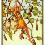 Silver Birch Flower Fairy