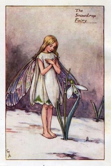 Snowdrop Flower Fairy