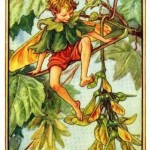 Sycamore Flower Fairy