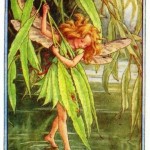 Willow Tree Flower Fairy