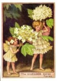 Tree Flower Fairy Prints