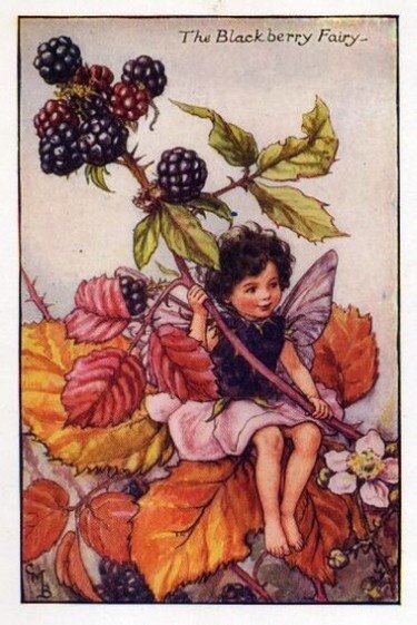 Blackberry Flower Fairy