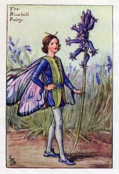 Bluebell Flower Fairy