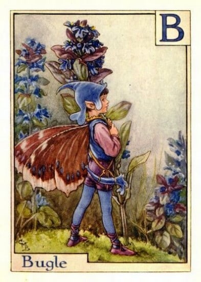 Bugle Flower Fairy