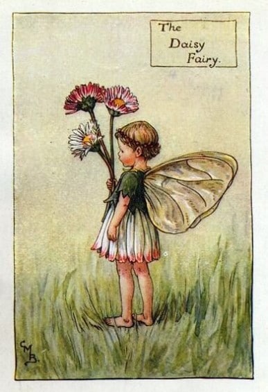 Daisy Flower Fairy