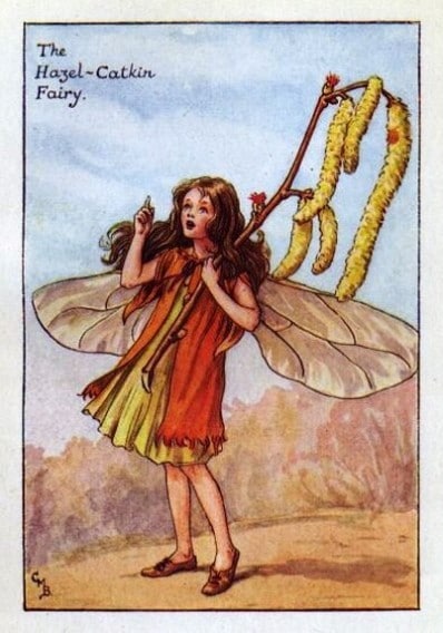 Hazel-Catkin Flower Fairy
