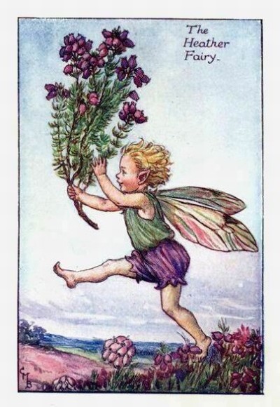 Heather Flower Fairy