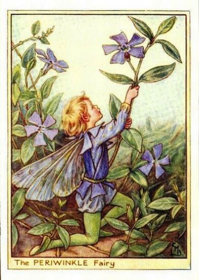 Periwinkle Flower Fairy Periwinkle Flower Fairy