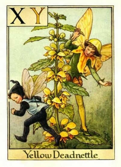 Yellow Deadnettle Flower Fairy