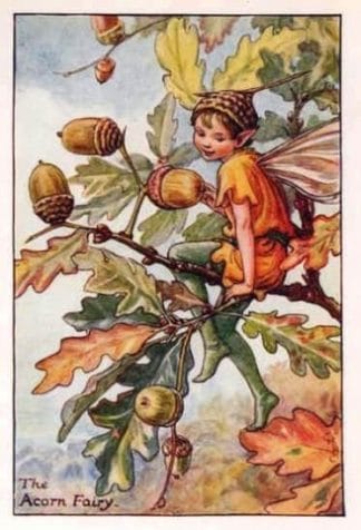 Acorn Flower Fairy