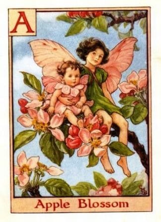 Apple Blossom Flower Fairy