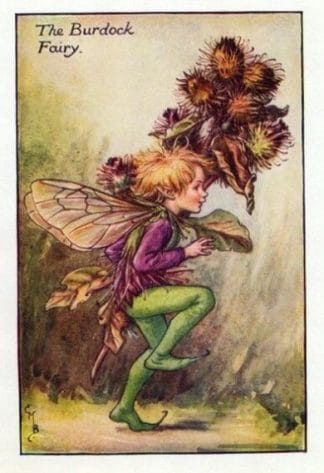 Burdock Flower Fairy