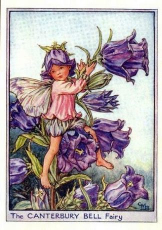 Canterbury Bell Flower Fairy