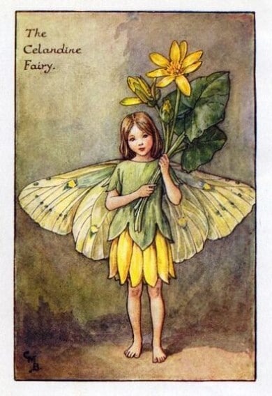 Celandine Flower Fairy