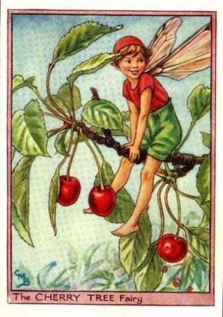 Cherry Tree Flower Fairy