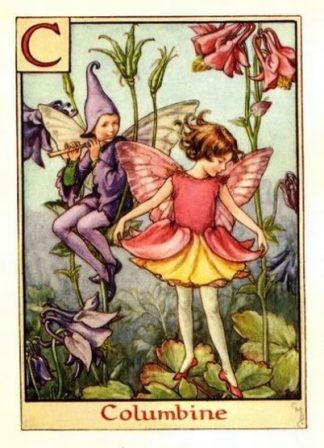 Columbine Flower Fairy