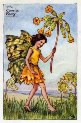 Cowslip Flower Fairy