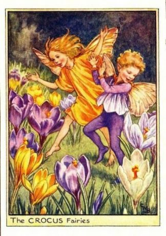 Crocus Flower Fairy