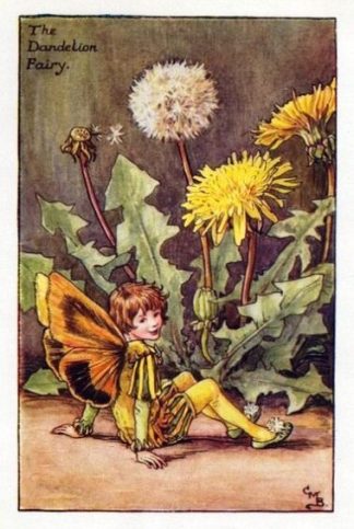 Dandelion Flower Fairy