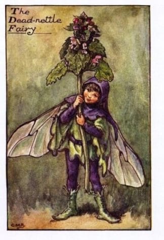 Dead Nettle Flower Fairy