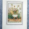 Flower Fairies Scentless Mayweed Flower Fairy