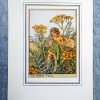 Flower Fairies Tansy Flower Fairy Print