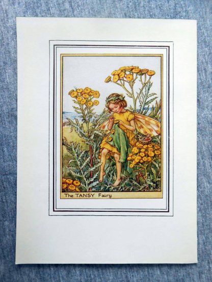 Flower Fairies Tansy Flower Fairy Print