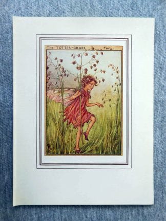 Flower Fairies Totter Grass Flower Fairy Print