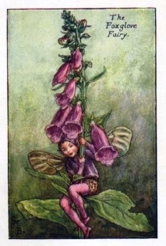 Foxglove Flower Fairy