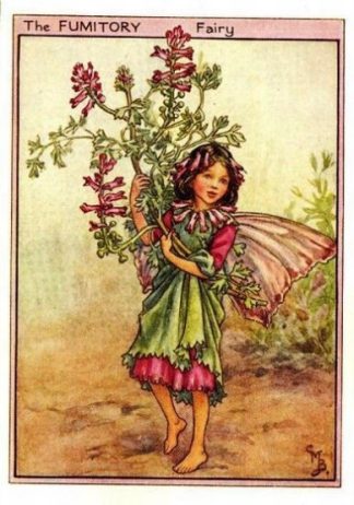 Fumitory Flower Fairy