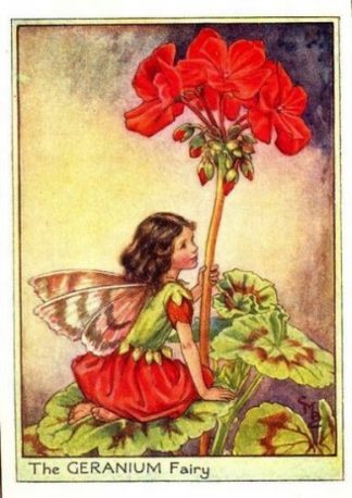 Geranium Flower Fairy