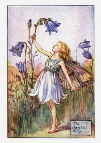 Harebell Flower Fairy