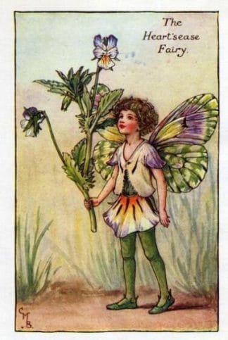 Heartsease Flower Fairy