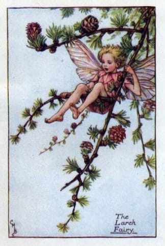 Larch Flower Fairy